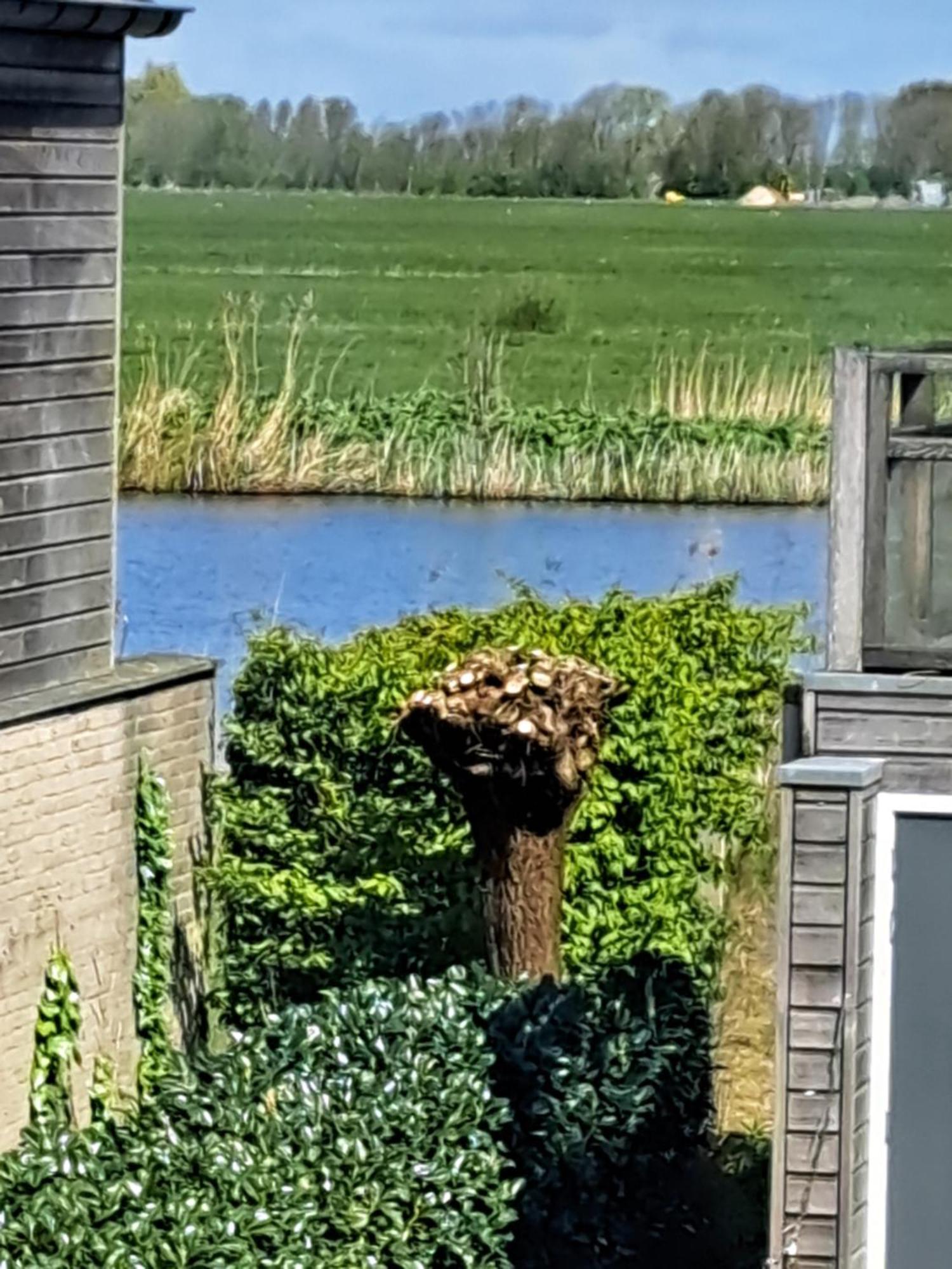 Fries Vakantiehuis, Grote Tuin, Nabij Het Pikmeer خراو المظهر الخارجي الصورة